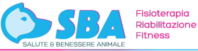 Fisioterapia Veterinaria SBA