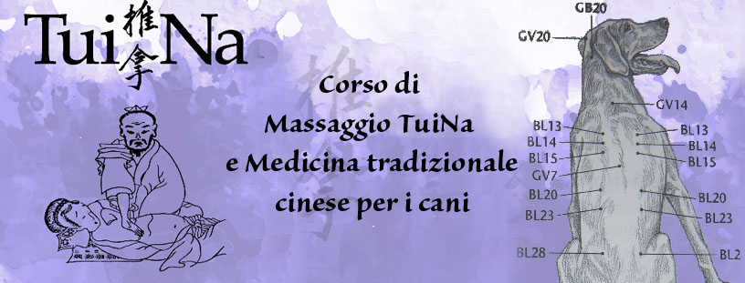 corso-massaggio-tuina-medicina-cinese