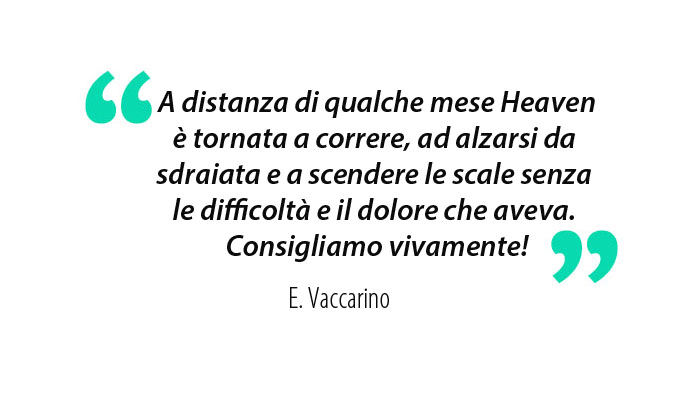 cane-con-artrosi-heaven-fisioterapia-efficace