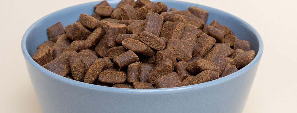 Dieta per far dimagrire il cane